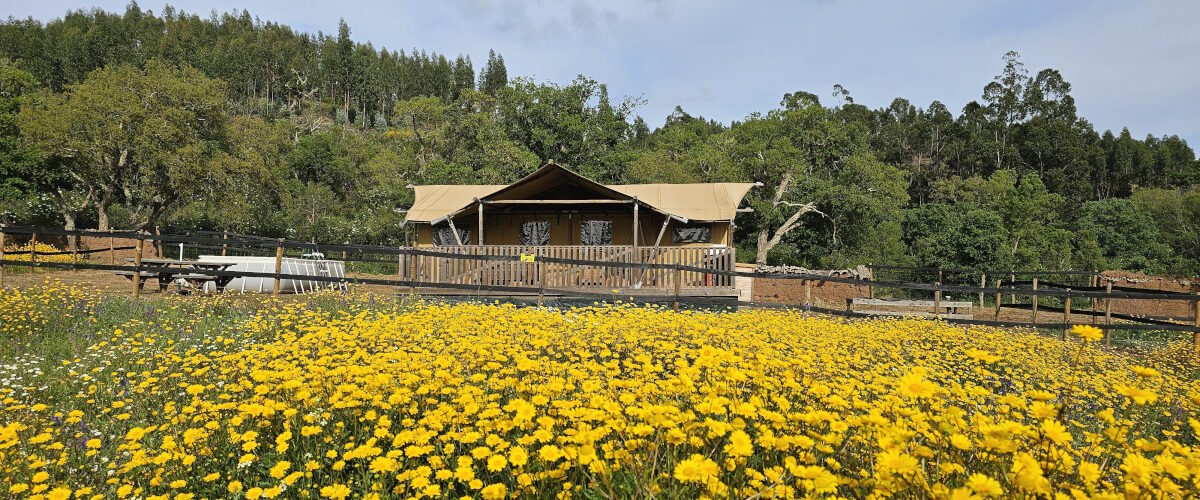 Kleinschalige en kindvriendelijke glamping in Zuid-West Portugal (Alentejo)
